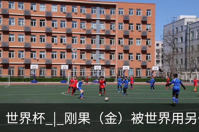 世界杯 | 刚果（金）被世界用另一种方式看见